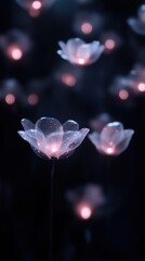 Poster - A close up of a bunch of flowers with a pinkish hue