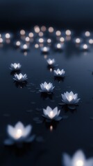 Poster - A close up of a pond with many white flowers floating on the water