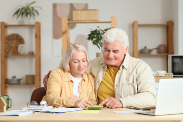 Wall Mural - Senior woman with her husband calculating utility bills in kitchen