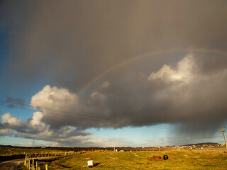 Wall Mural - cloudy sky with rainbow and rain over a country side with fields and fences. irish landscape. wet we