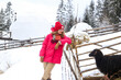 © Marharyta - Woman next to the sheep pen in countryside in the snow in winter in the mountains. Cozy hygge travel holidays retreat destination