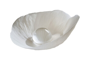 Fototapete - Crystal clear drop of water in white petal png. Drop and petal on an isolated background. Generated with AI.
