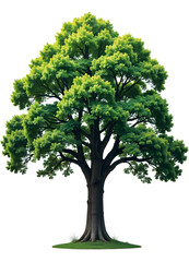 lush green tree with full foliage isolated on white background, vibrant and detailed illustration of