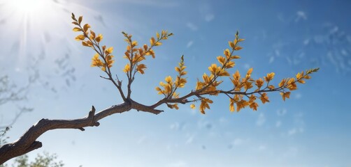 Wall Mural - A delicate branch sways gently in the breeze as it stretches towards the clear blue sky, motion, movement