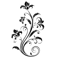 black ornament illustration curves simple for photo on white background