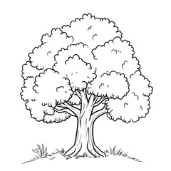 outline art for a tree simple coloring page black and white outline page with white background sketc