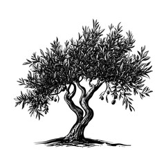 vector logo of an olive tree black and white