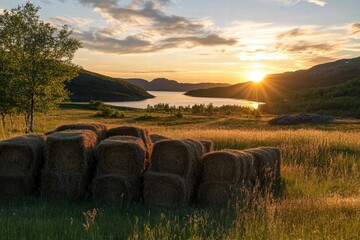 Poster - Sunset over a serene lake with hay bales in a lush green field surrounded by hills. Generative AI