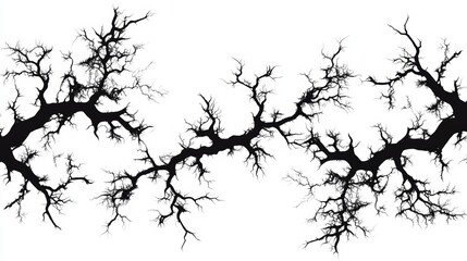 Poster - Abstract Black Branches Silhouette Graphic Design
