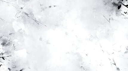Poster - Abstract White Texture with Black Ink Splashes and Lines