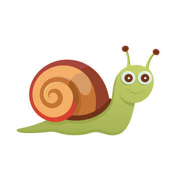  Happy snail isolated flat vector illustration on white background.