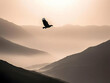 © Siasart Stock - Eagle Soars Majestically Over Misty Mountain Valley at Sunset