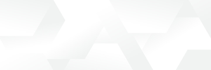 Wall Mural - abstract white geometric banner design background.