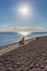 Wall Mural - Jogging sur Plage