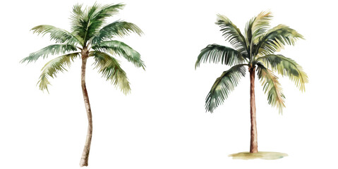 Poster - Tropical palm trees natural environment watercolor art exotic landscape artistic viewpoint nature