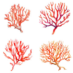 Poster - Vibrant coral illustrations underwater scene art collection ocean environment aesthetic view marine life concept