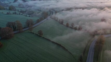 Poster - Mist blankets the fields at dawn near a winding road in early autumn