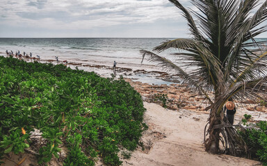 Wall Mural - Playa Mangle beautiful tropical paradise beach panorama view Tulum Mexico.