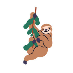 Poster - Sloth, cute tropical animal. Funny lazy mammal hanging on tree branch, smiling. Adorable kawaii wild fauna character in jungle. Friendly zoo. Flat vector illustration isolated on white background