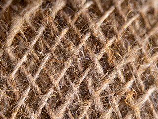 Poster - A close up of a piece of fabric with a lot of hair on it