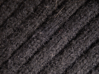 Poster - The image is of a black sweater with a lot of hair on it