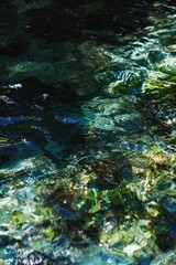 Aufkleber - A close-up shot of a body of water featuring rocks and possibly some surrounding environment