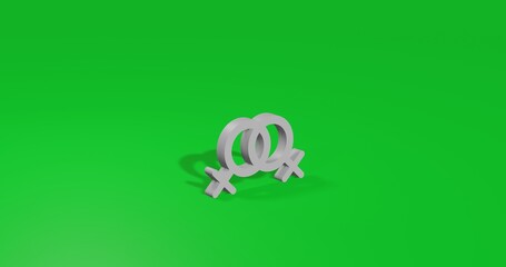 Poster - Isolated realistic white lesbian symbol front view with shadow. 3d illustration on green chroma key background