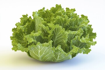 Aufkleber - A close-up shot of a leafy vegetable on a white surface, great for food and still life photography