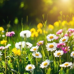 Poster - A sunny day scene featuring a field of colorful flowers