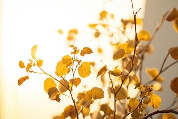 Poster - A close-up view of a plant with bright yellow leaves