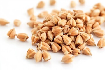 Aufkleber - A pile of barley seeds on a white surface