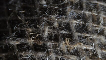 Poster - A close up of a piece of fabric with a lot of hair on it