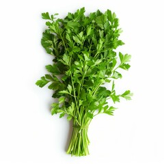 Poster - Fresh bunch of parsley tied up with twine resting on a white background