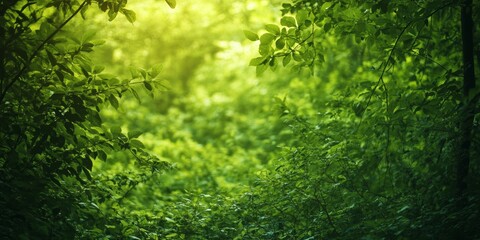 Aufkleber - Vibrant green growth during the summer season showcases the beauty of nature s resilience, highlighting the lush greenery and vitality associated with green growth in summer.