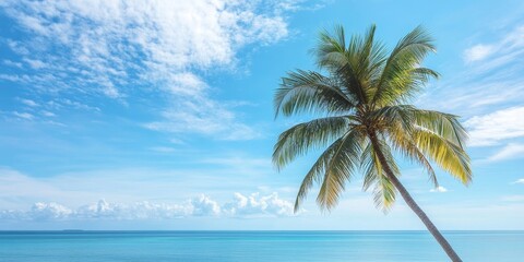 Aufkleber - Palm tree basking in the sunlight, set against a vibrant blue sky and serene blue ocean, creating a perfect tropical scene with the beauty of a palm tree prominently featured.
