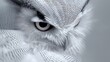 © art_bee8 - Close-up portrait of a majestic owl, intense gaze, soft feathers, blurred background, nature wildlife photography