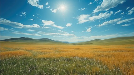 Wall Mural - The sunny grassland.