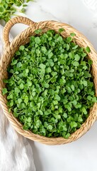 Wall Mural - Freshly Harvested Microgreens in a Rustic Basket Overhead View, Minimalistic Food Photography