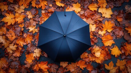 Wall Mural - Black umbrella on autumn leaves. (1)