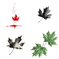 Poster - Artistic depiction of maple leaves nature seasonal changes close-up view botanical beauty