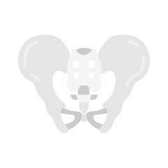 Wall Mural - pelvis flat icons, vector illustration