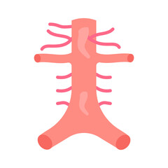Wall Mural - abdominal arteries flat icons, vector illustration