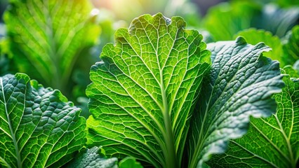 Canvas Print - Vibrant Green Mustard Leaves on Pristine White Background - Low Light Photography Stock Photo