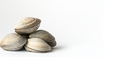 Aufkleber - Fresh raw clams are beautifully stacked against a white background, showcasing the natural texture and color of clams, perfect for culinary or seafood related imagery featuring clams.
