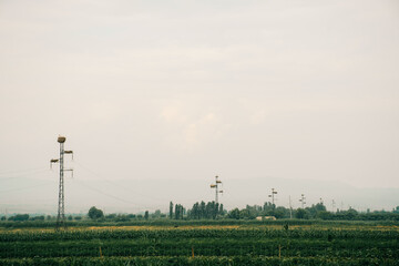 View of an expansive green field with towering power lines under a hazy sky in rural landscape