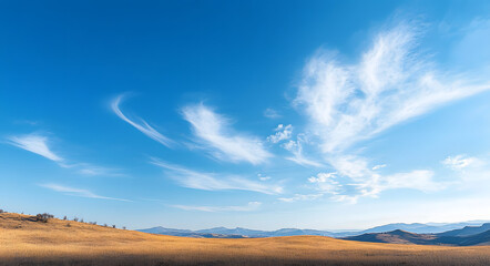 Wall Mural - sky is blue and clear with no clouds
