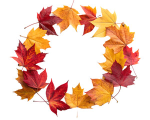 autumnal leaves frame in ring shaper on white background.PNG