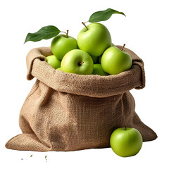 Wall Mural - apples burlap sack overflowing