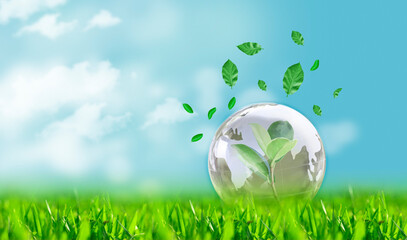 environment. glass globe on green grass - leaves planet bokeh lights on blue sky background. world s