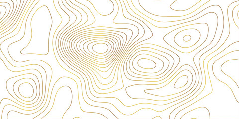 Aufkleber - Abstract white golden gradient Topographic line map pattern background. Contour elevation topographic and textured Background Modern design with White background with topographic wavy patte.	